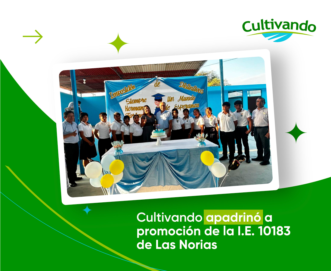 imagenes