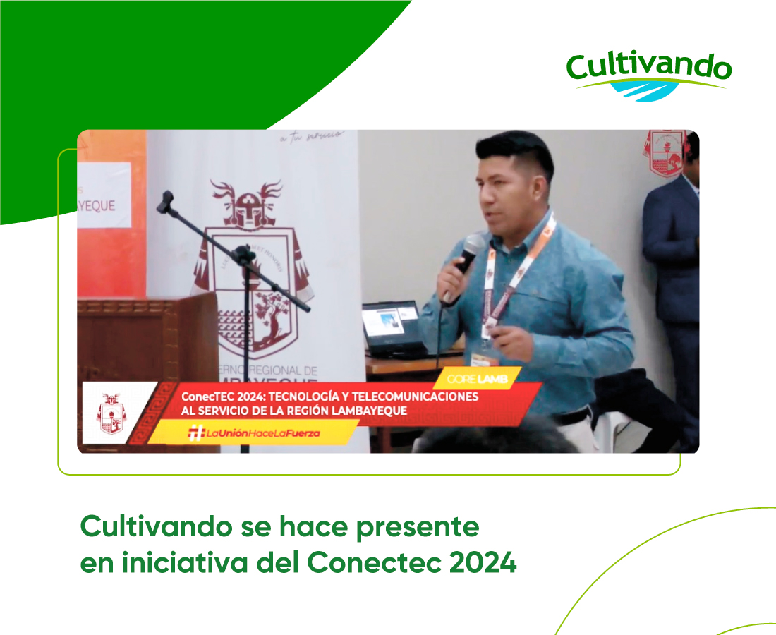 imagenes